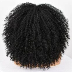 Curly Afro Wigs With Bangs